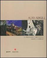 Alto Adige. Il paesaggio fortificato. Castelli e residenze di Flavio Conti edito da Giunti Editore