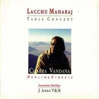 Lacchu Maharaj tabla guru. Con CD Audio. Ediz. inglese di G. Paolo Jai Datt Barberis edito da J. Amba Edizioni