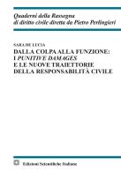 Dalla colpa alla funzione: i punitive damages e le nuove traiettorie della responsabilità civile di Sara De Lucia edito da Edizioni Scientifiche Italiane