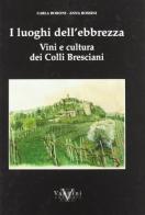 I luoghi dell'ebrezza. Vini e cultura dei colli bresciani di Carla Boroni, Anna Bossini edito da Vannini