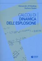 Calcoli di dinamica dell'esplosione di Stefano Scaini, Alessandro D'Andrea edito da Nane