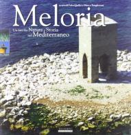 Meloria. Un faro fra natura e storia nel Mediterraneo di Folco Quilici, Olimpia Vaccari, Gianfranco Barsotti edito da Belforte Salomone