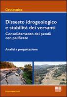 Dissesto idrogeologico e stabilità dei versanti. Consolidamento dei pendii con palificate. Analisi e progettazione di Piergiuseppe Froldi edito da Maggioli Editore