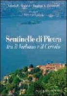 Sentinelle di pietra tra il Verbano e il Ceresio di Valeria E. Bianchi, Ruggero Panizzutti edito da Macchione Editore