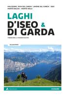 Laghi d'Iseo & di Garda. Trekking e passeggiate di Gillian Price edito da Alpine Studio