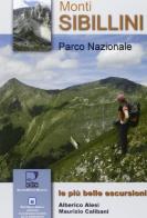 Monti Sibillini. Parco nazionale. Le più belle escursioni di Alberico Alesi, Maurizio Calibani edito da Ricerche