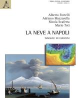 La neve a Napoli. Immagini ed emozioni di Alberto Fortelli, Adriano Mazzarella, Nicola Scafetta edito da Aracne
