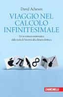 Viaggio nel calcolo infinitesimale. Un'avventura matematica dalla mela di Newton alla chitarra elettrica di David Acheson edito da Zanichelli