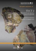 TECT 2. La pittura frammentaria di età romana: metodi di studio e catalogazione edito da Padova University Press