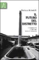 Il futuro del distretto. Atteggiamenti e strategie degli attori locali di Pierluca Birindelli edito da Aracne