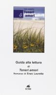 Guida alla lettura di «Teneri amori» romanzo di Enzo Lauretta edito da Metauro