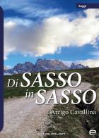Di sasso in sasso di Arrigo Cavallina edito da Echos Edizioni