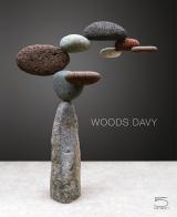 Woods Davy. They are what they do. Ediz. illustrata di Shana Nys Dambrot, Craig Krull, Suzanne Muchnic edito da 5 Continents Editions