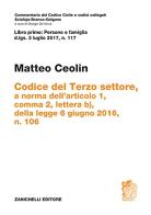 Codice del Terzo settore. a norma dell'articolo 1, comma 2, lettera b), della legge 6 giugno 2016, n. 106 di Matteo Ceolin edito da Zanichelli