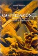 Castellamonte. Il passato e il presente di una città in trasformazione di Giacomo Antoniono edito da Le Château Edizioni