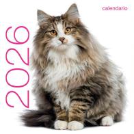 Gatti. Calendario da muro 2026 edito da White Star