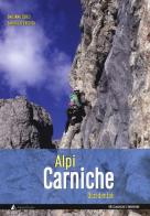 Alpi Carniche occidentali. Vie classiche e moderne di Emiliano Zorzi, Saverio D'Eredità edito da Alpine Studio