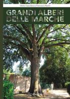 Grandi alberi delle Marche. Con Libro di Valido Capodarca, Francesco Nasini edito da Giaconi Editore