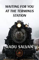 Waiting for you at the terminus station di Radu Salvan edito da Europa Edizioni