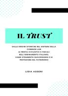 Il trust di Lidia Asseni edito da Youcanprint