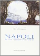 Napoli. Bellezze e testimonianze storiche di Ferdinando Ferrajoli edito da Adriano Gallina Editore