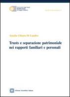 Trusts e separazione patrimoniale nei rapporti familiari e personali di Amalia Chiara Di Landro edito da Edizioni Scientifiche Italiane