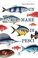 Un mare di pesci. Ediz. a colori di Marcus Elieser Bloch edito da Pulce