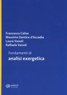 Fondamenti di analisi exergetica di Francesco Calise, Massimo Dentice D'Accadia, Laura Vanoli edito da Giapeto