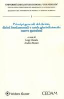 Principi generali del diritto. Diritti fondamentali e tutela giurisdizionale: nuove questioni edito da CEDAM