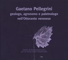 Gaetano Pellegrini geologo, agronomo e paletnologo nell'Ottocento veronese. Atti del Convegno edito da Editrice La Grafica