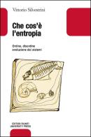 Che cos'è l'entropia. Ordine, disordine, evoluzione dei sistemi di Vittorio Silvestrini edito da Editori Riuniti Univ. Press