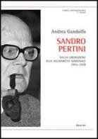 Sandro Pertini. Dalla liberazione alla solidarietà nazionale 1945-1978 di Andrea Gandolfo edito da Aracne