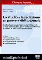 Lo studio e la redazione del parere di diritto penale di Dario Colasanti, Di Punzio Ilaria edito da Maggioli Editore