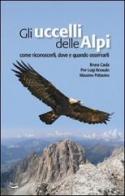 Gli uccelli delle Alpi. Come riconoscerli, dove e quando osservarli. Ediz. illustrata di Bruno Caula, Pier Luigi Beraudo, Massimo Pettavino edito da Blu Edizioni