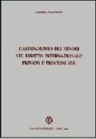 L' affidamento dei minori nel diritto internazionale privato e processuale di Andrea Cannone edito da Cacucci
