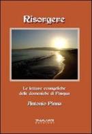Risorgere. Le letture evangeliche delle domeniche di Pasqua di Antonio Pinna edito da Phasar Edizioni