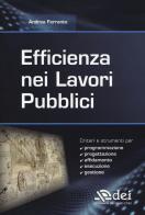 Efficienza nei lavori pubblici di Andrea Ferrante edito da DEI