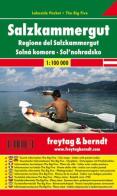 Salzkammergut 1:100.000 edito da Freytag & Berndt