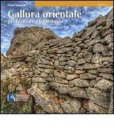 Gallura orientale. Preistoria e protostoria di Paola Mancini edito da Taphros Editrice