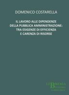 Il lavoro alle dipendenze della pubblica amministrazione. Tra esigenze di efficienza e acrenza di risorse di Domenico Costarella edito da Libreria Bonomo Editrice