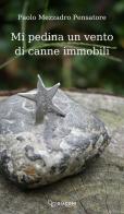 Mi pedina un vento di canne immobili di Paolo Mezzadro Pensatore edito da Giaconi Editore