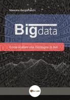 Big data. Come scalare una montagna di dati di Massimo Bergamaschi edito da Youcanprint