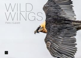 Wild wings. Ediz. italiana e inglese di Pietro Guberti edito da Wild&Views
