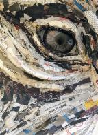 Jacopo Allegrucci. Se ti va facciamo da me edito da Magonza