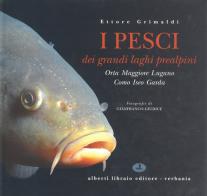 I pesci dei laghi prealpini: Lago Maggiore, Orta, Lugano, Como, Iseo, Garda di Ettore Grimaldi, Gianfranco Giudice edito da Alberti