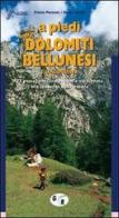 A piedi sulle Dolomiti bellunesi e l'Agordino. 77 passeggiate, escursioni e trekking alla scoperta della natura di Cinzia Pezzani, Sergio Grillo edito da Iter Edizioni