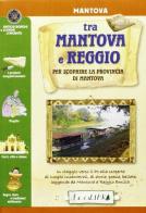 Tra Mantova e Reggio di Patrizia Patelli edito da Ecolibri