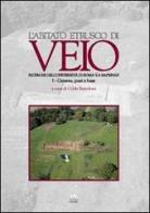 L' abitato etrusco di Veio. Ricerche dell'Università di Roma «La Sapienza» vol.1 edito da Iuno