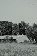 Studio Mc2aa. Forma relazione edito da LetteraVentidue