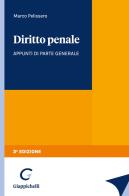 Diritto penale. Appunti di parte generale di Marco Pelissero edito da Giappichelli